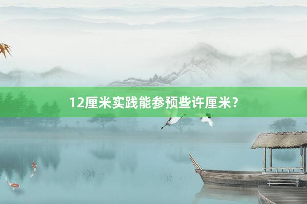 12厘米实践能参预些许厘米？