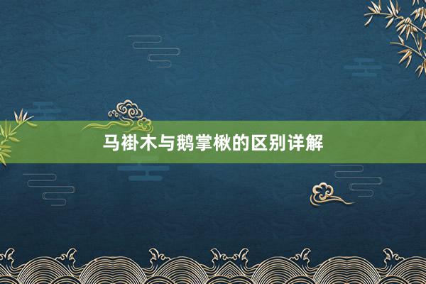马褂木与鹅掌楸的区别详解