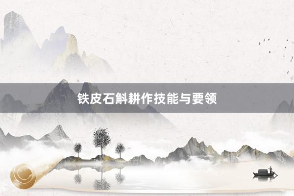 铁皮石斛耕作技能与要领