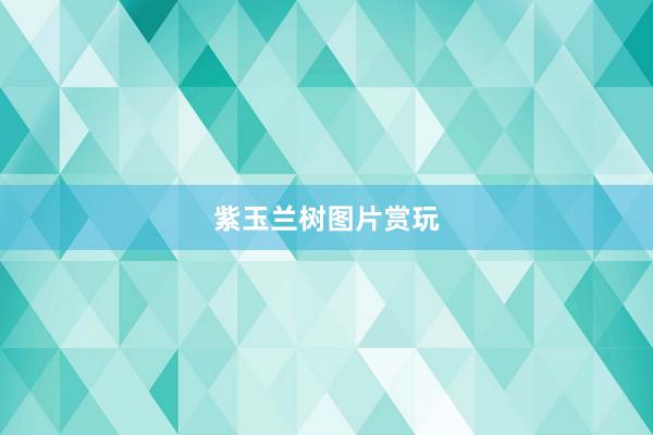 紫玉兰树图片赏玩