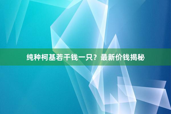 纯种柯基若干钱一只？最新价钱揭秘